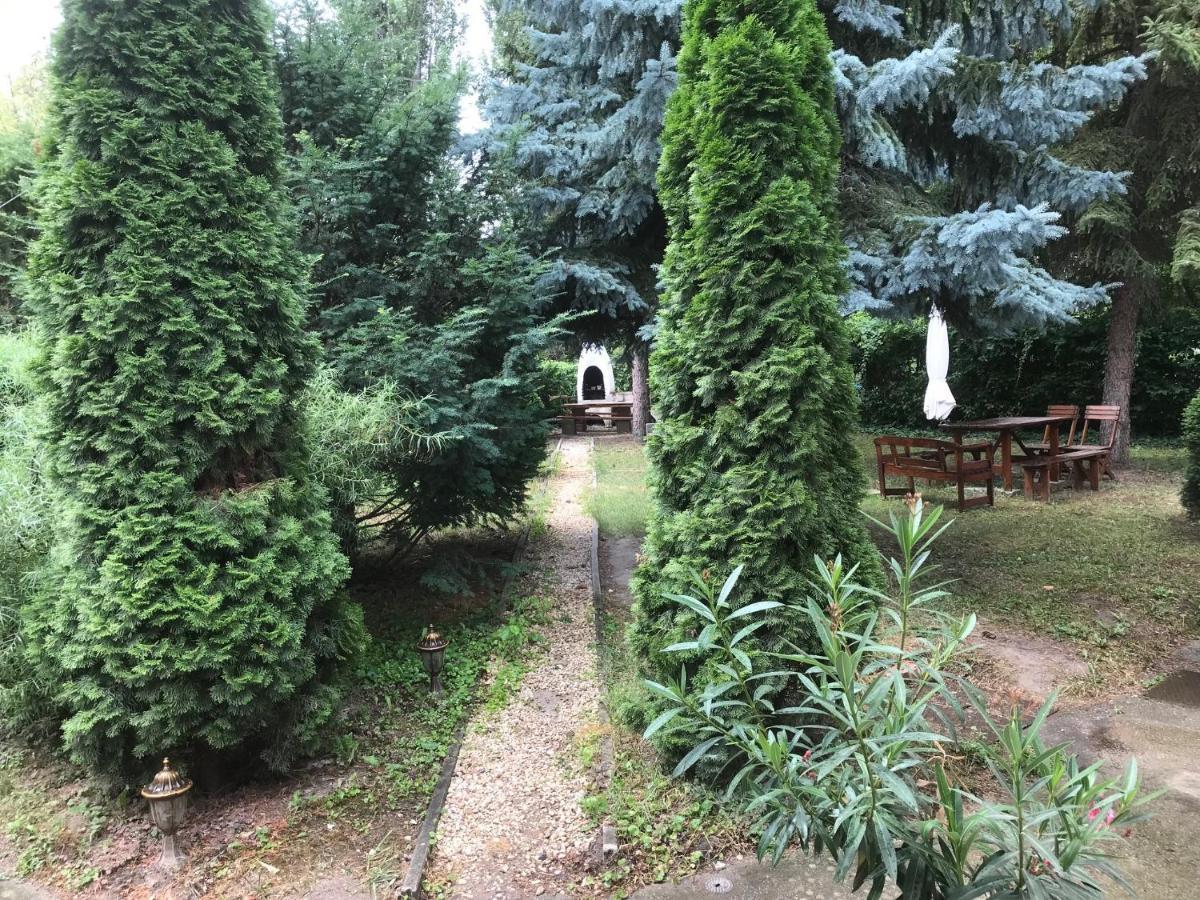 Platanus Vendeghaz Zamardi Bed & Breakfast Exterior foto